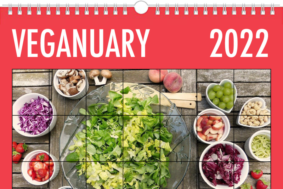 Vegan Trends & Predictions 2022 Vaganuary Bolst Global